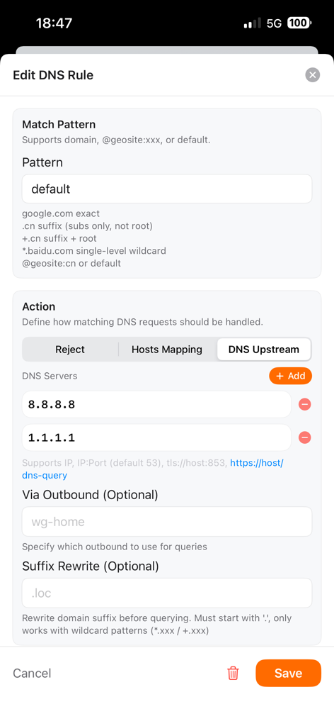 Interface para configurar regras de DNS e servidores upstream no aplicativo Orange Network