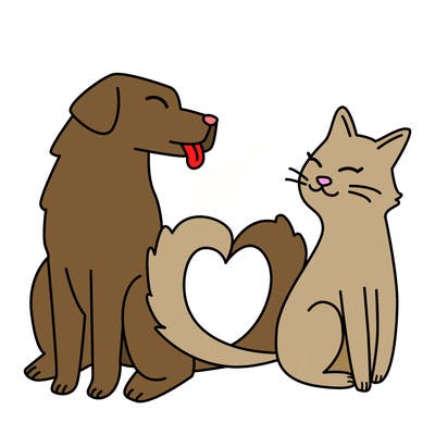 animals_22