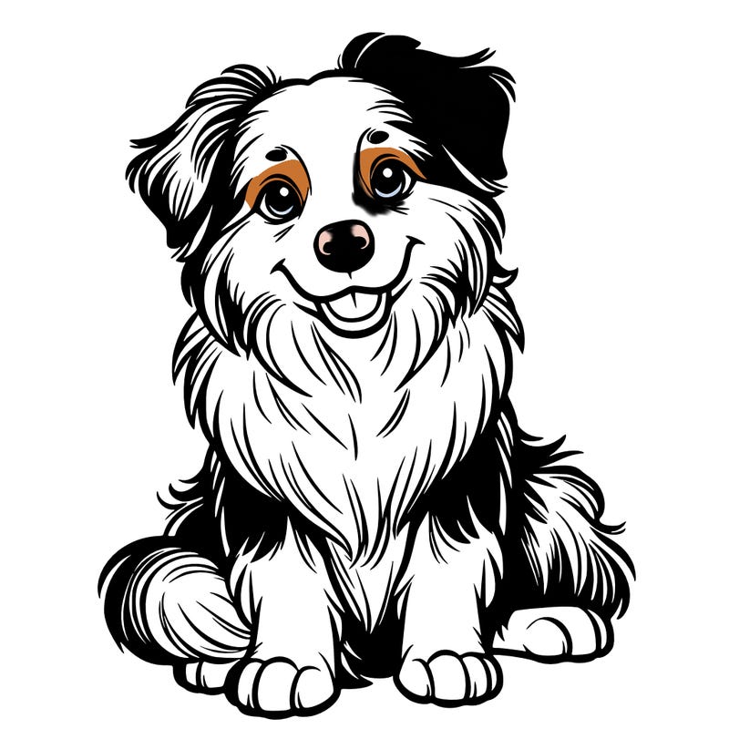 australian shepherd