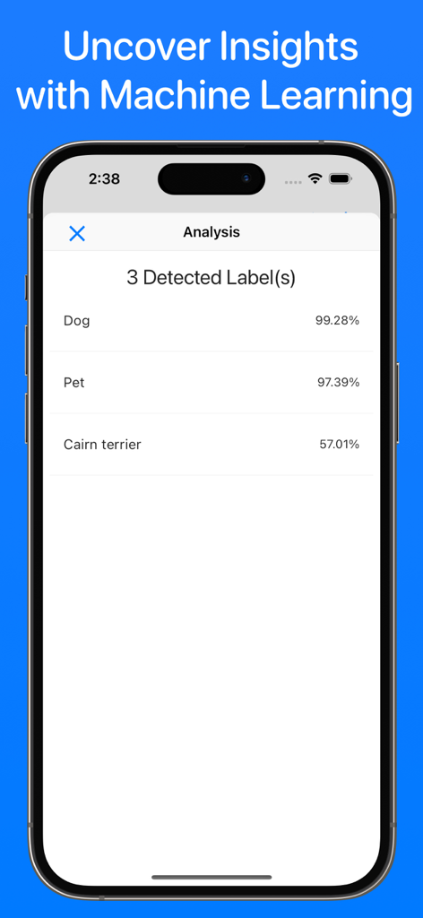 API Bot - API Bot app interface showing machine learning analysis with detected labels for an API response