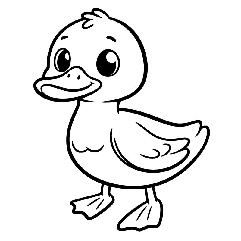 duck