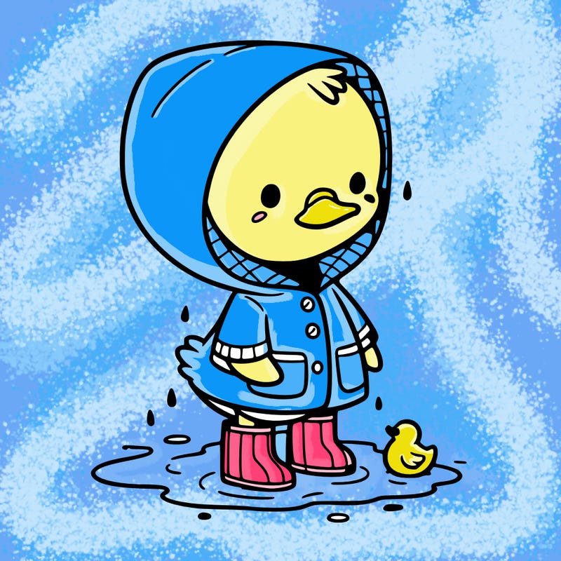 baby duck in a rain coat and boots, in a puddle while it’s raining