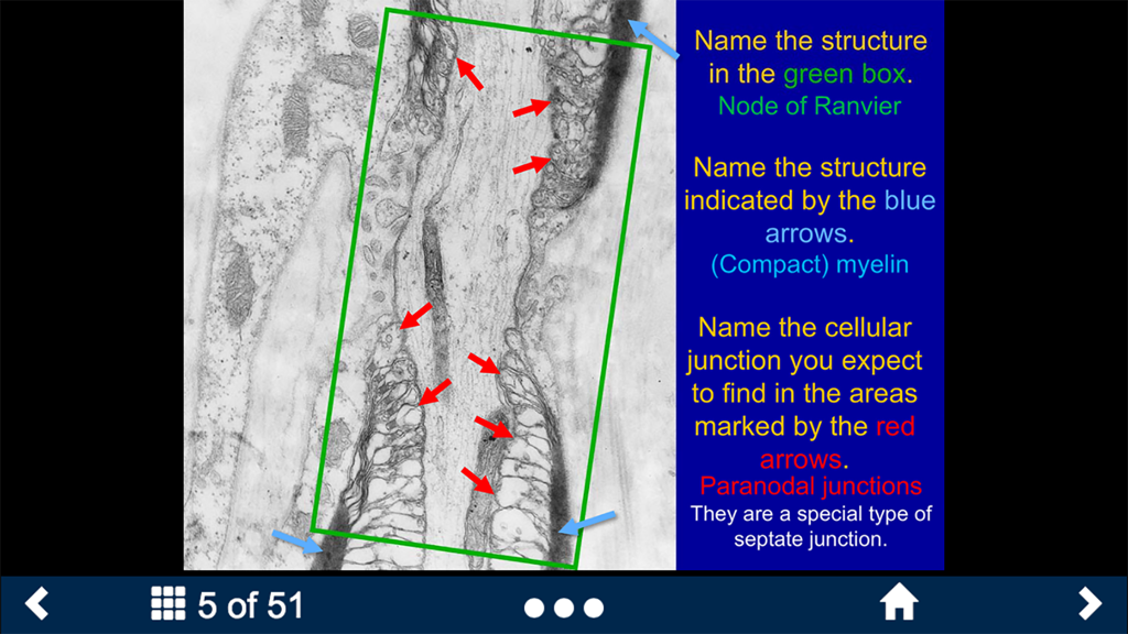 Histology Complete -SecondLook - Histology SecondLook app self test screen with a nerve fiber micrograph