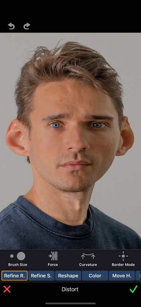 A man's portrait being edited with the caricature distortion tool in the ReColor app showing enlarged ears