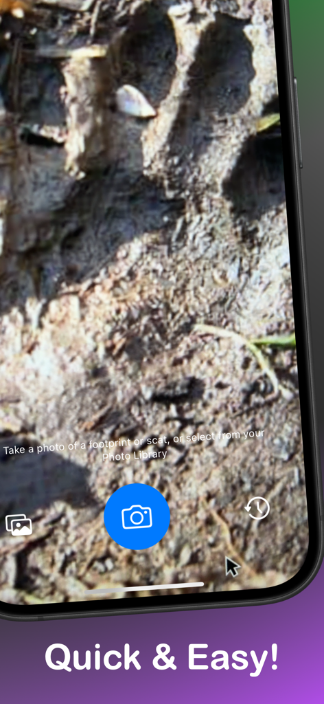 Trail Trace - Animal Tracker - Trail Trace app camera interface for identifying animal tracks