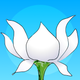 Lotus Bud Meditation Timer