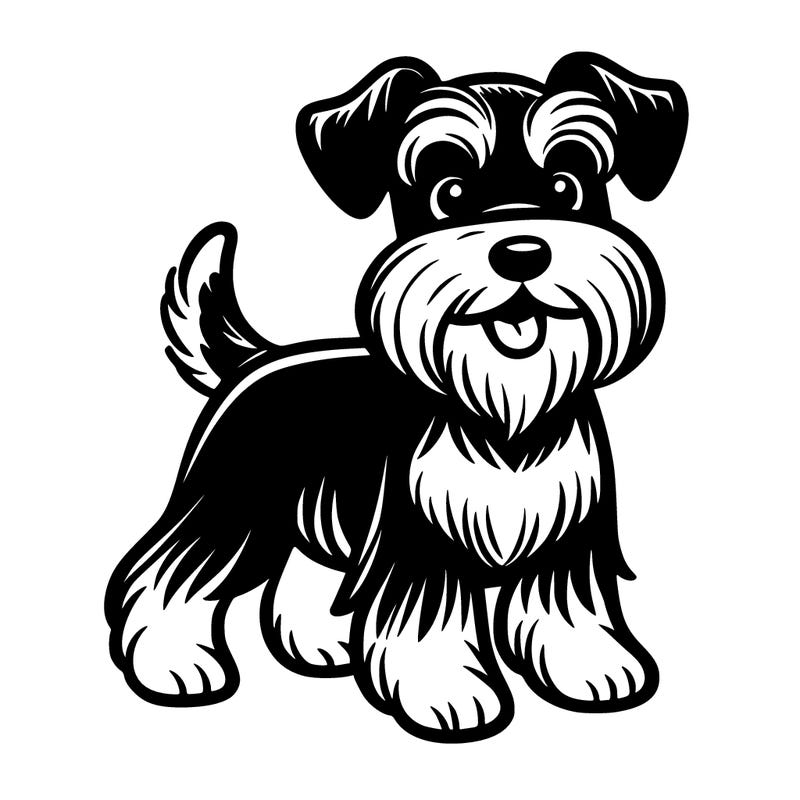 black and white miniature schnauzer