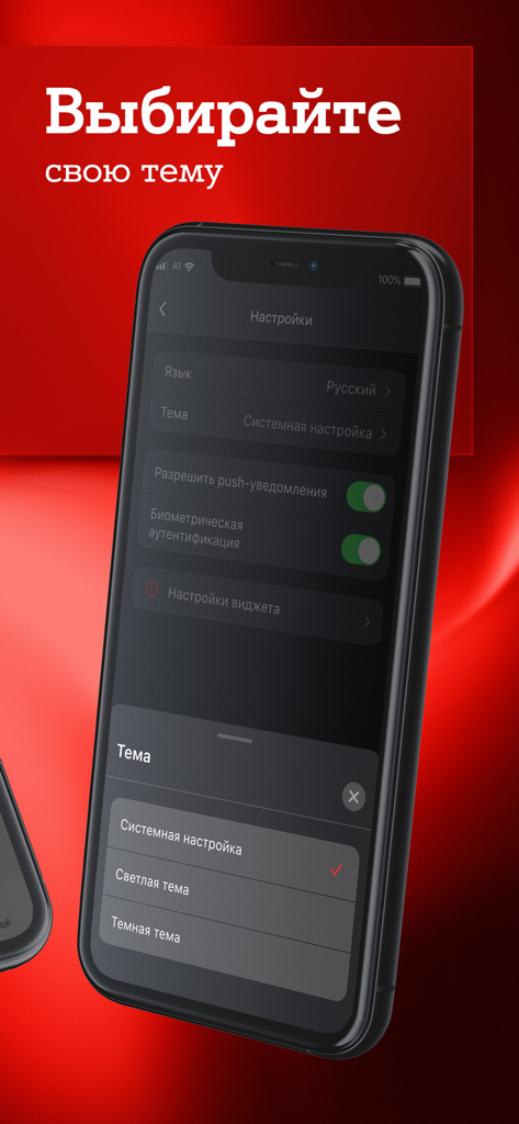 Mobile app interface for choosing light or dark theme settings in the My A1 application