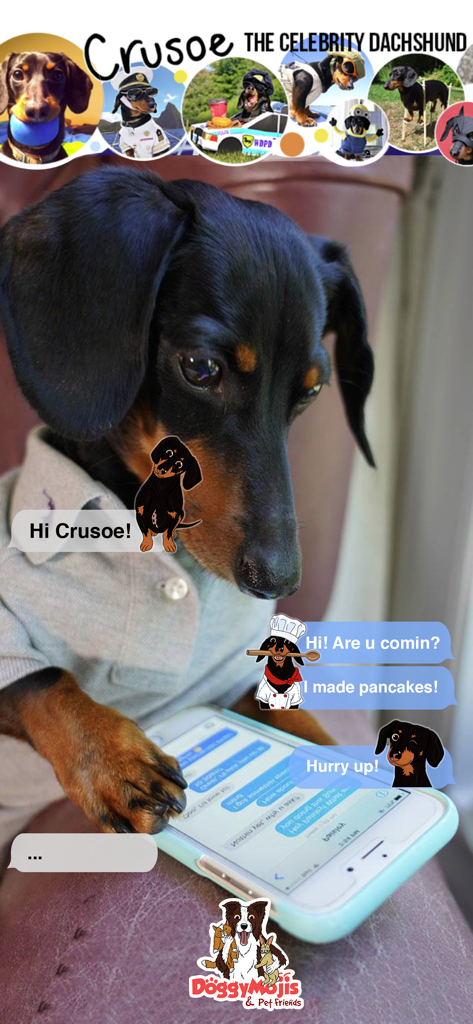 CrusoeMoji - Dachshund sticker - Um dachshund olhando para a tela de um smartphone mostrando adesivos personalizados do Crusoe the Celebrity Dachshund em uma conversa de texto.