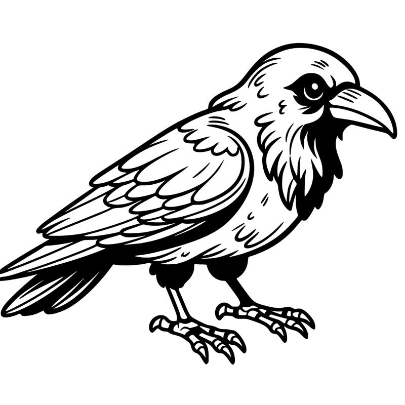 raven