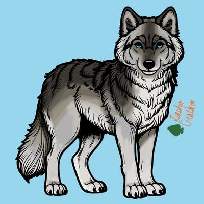 realistic wolf