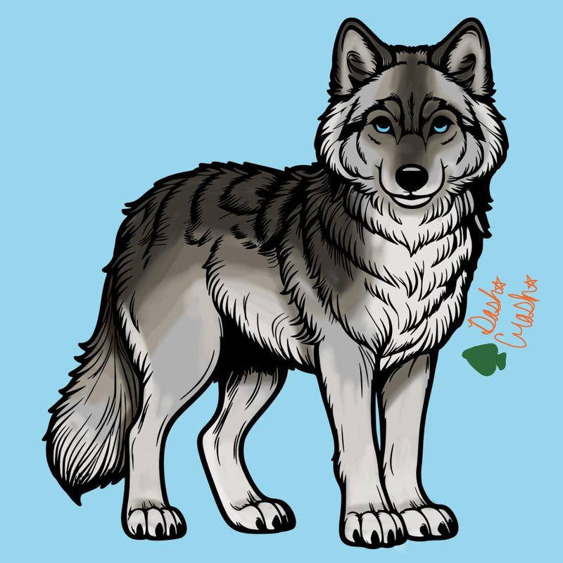 realistic wolf