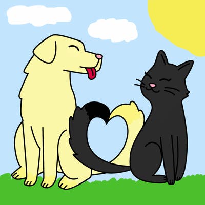 animals_22