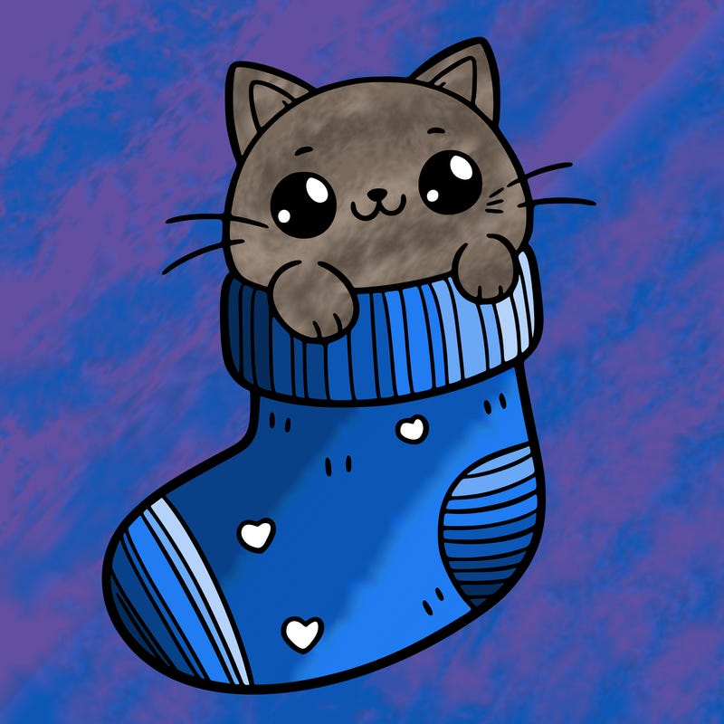 cute cat in a sock