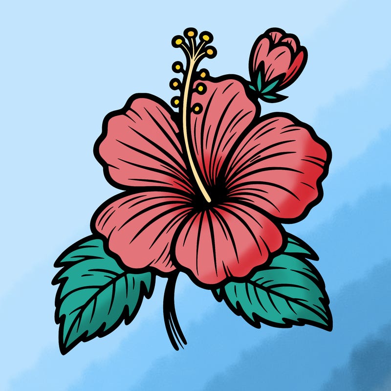 hibiscus flower