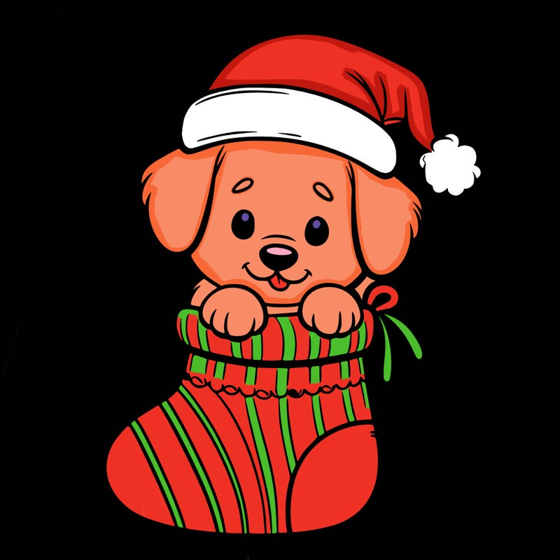 cute puppy wearing santa hat in socking