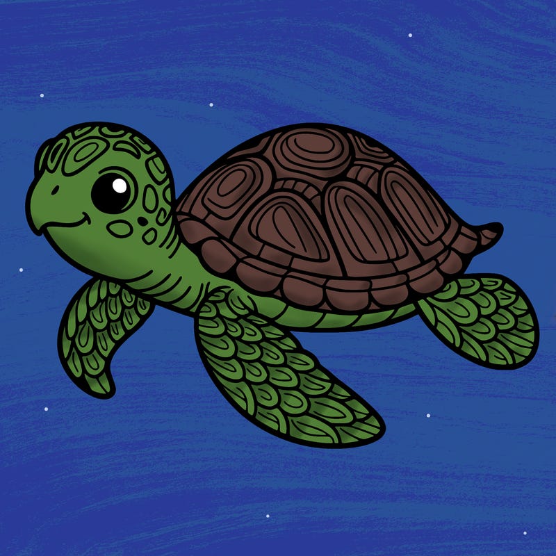 sea turtle