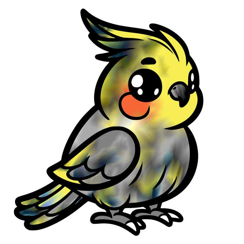 cockatiel