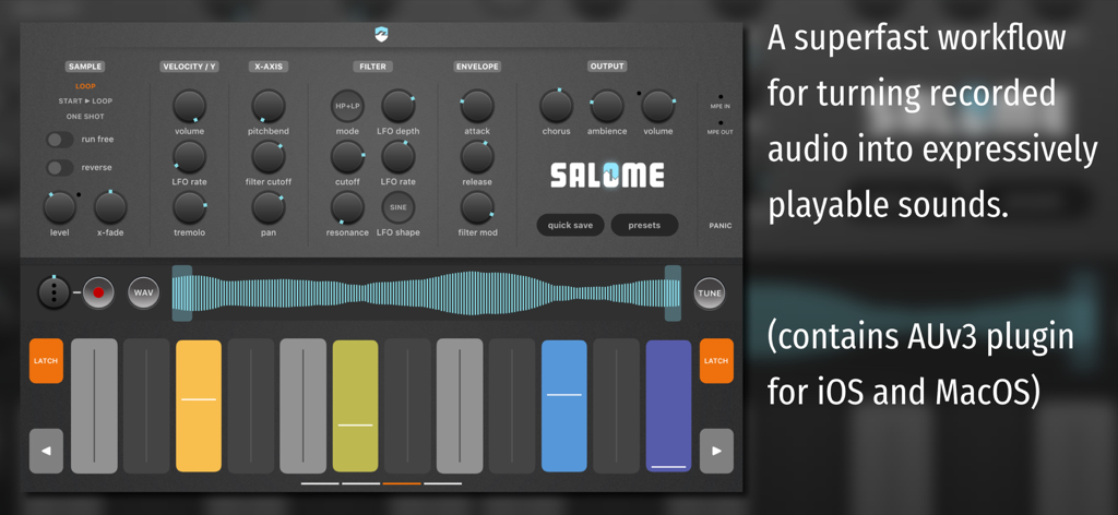 Salome - MPE Audio Sampler - Salome MPE Audio Sampler user interface showing workflow controls and expressive pads