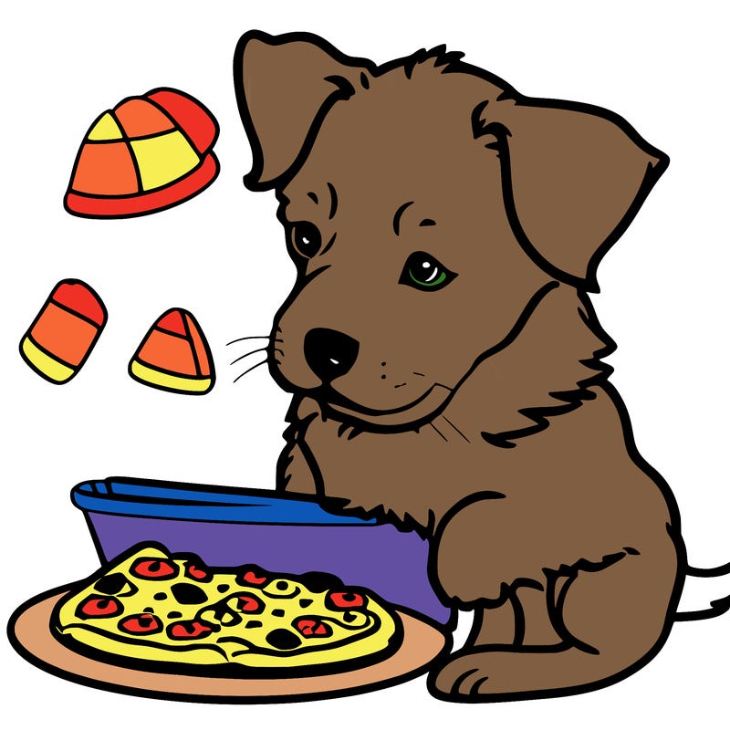 puppy with pizza