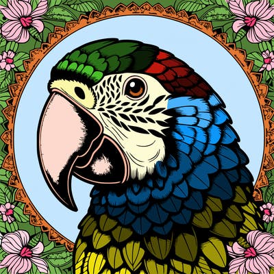 realistic parrot mandala