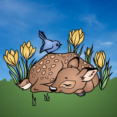 animals_61