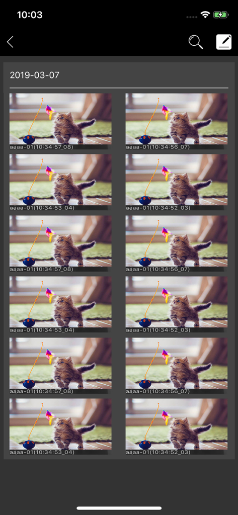 A grid of captured surveillance snapshots organized by date in the Provision Cam 2 mobile application.