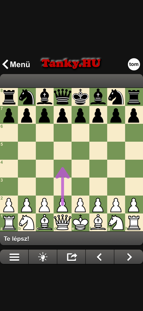 Gameplay screenshot of Sakk chess app showing a board with a move indicator