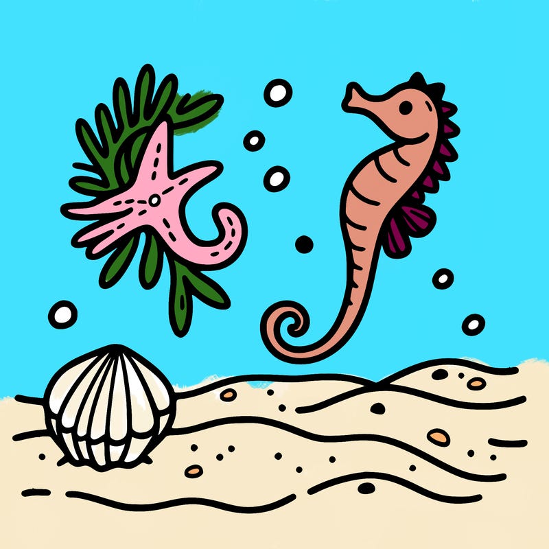 sand, sea horse, starfish