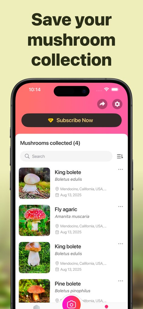 Die Pilzsammlungsfunktion in der Picture Mushroom App zeigt eine Liste von identifizierten Pilzen mit Fotos und Standortdetails an