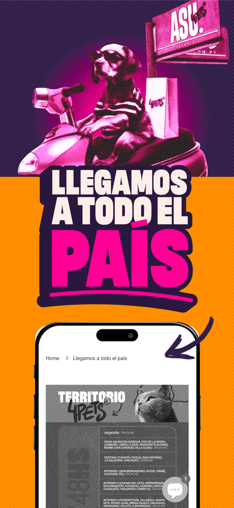 Un perro en una scooter promocionando los servicios de entrega nacional de 4Pets para suministros para mascotas