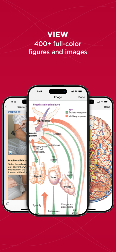 Mobile app displaying interactive anatomical diagrams and clinical photos for medical education.