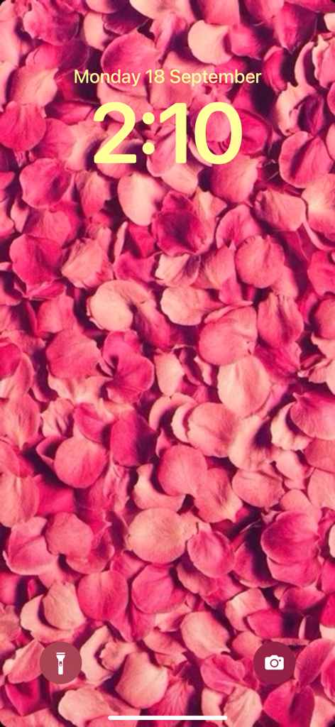 iPhone lock screen featuring a high-quality pink flower petals wallpaper.