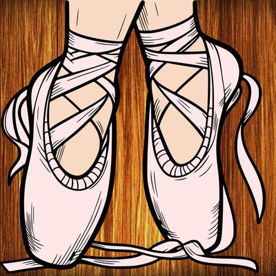 ballet shoes