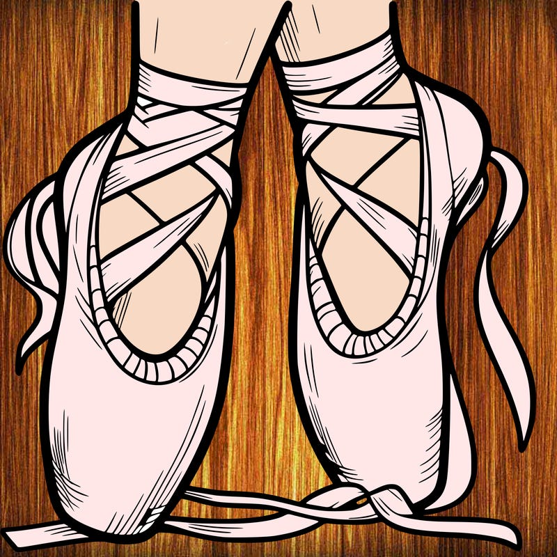 ballet shoes