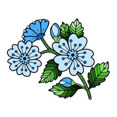 flowers_11