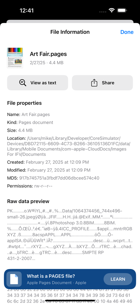 Screen showing detailed file properties and metadata for a Pages document in the File Viewer app.