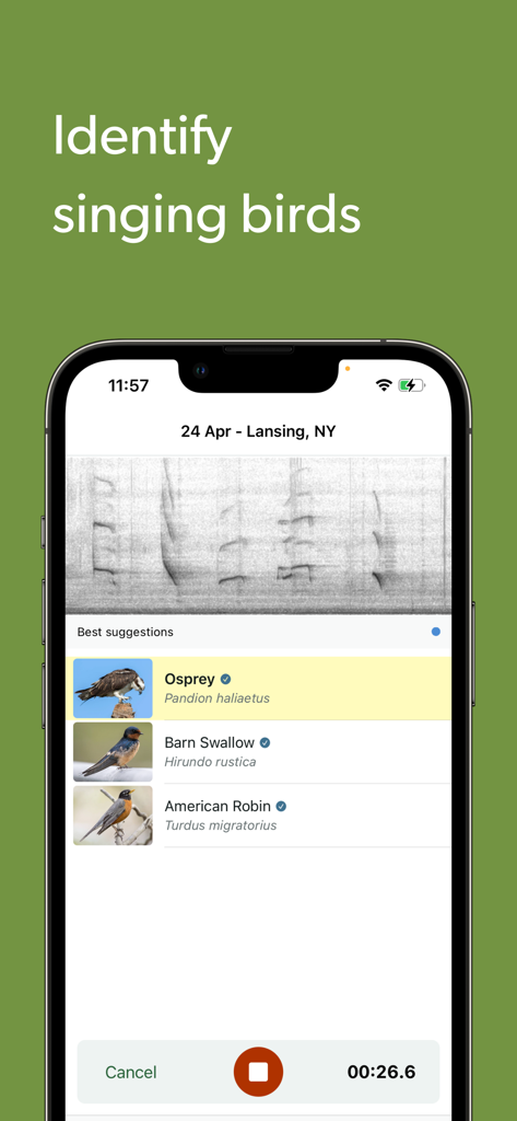 Merlin Bird ID by Cornell Lab - Merlin Bird IDアプリのインターフェース、オオミズナギドリ、ツバメ、アメリカコマドリの候補を示すスペクトログラムで鳴いている鳥を識別