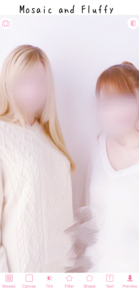 WataameCamera - Ein Screenshot der WataameCamera App-Oberfläche, der den Mosaik- und flauschigen Fotofilter zeigt, der auf ein Porträt von zwei Personen angewendet wurde.