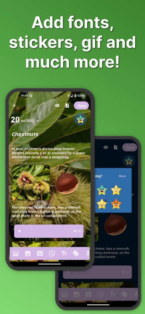 My Secret Diary - Journal - Uma tela do My Secret Diary mostrando a personalização do diário com fontes, adesivos e estrelas de rastreamento de humor