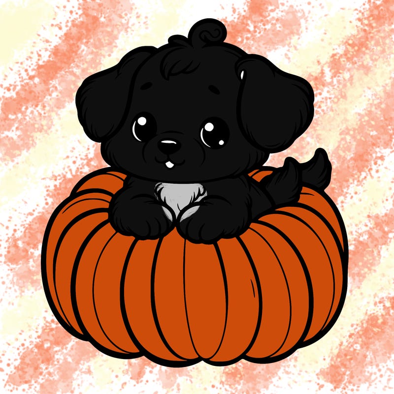 cute little puppy in a pumpkin