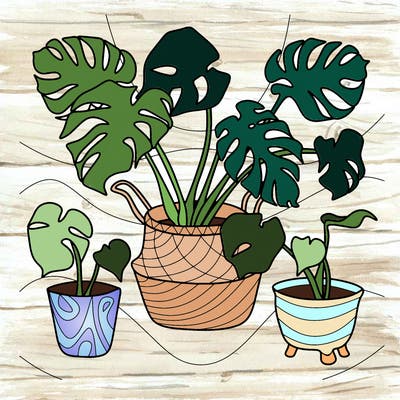 flowers_25