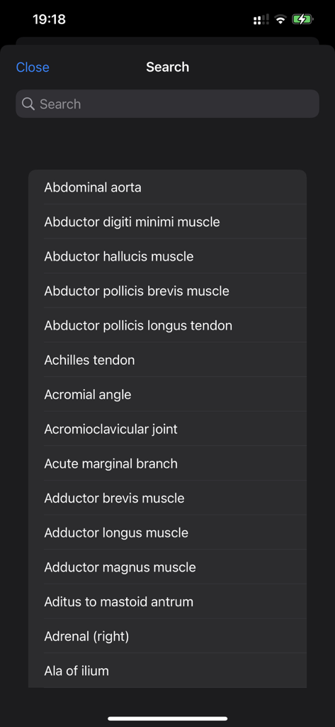 Search screen in the CT Anatomy app displaying a list of anatomical structures including Abdominal aorta and Achilles tendon