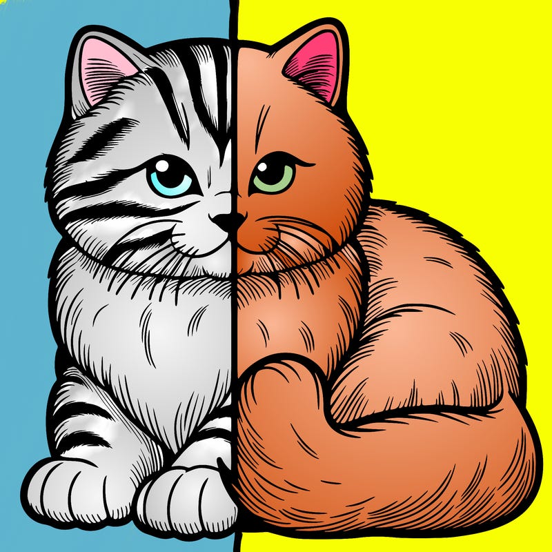realistic split cat