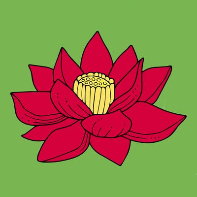 flowers_08