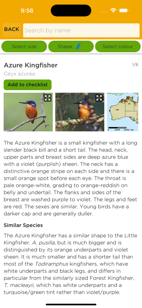 Schermata di identificazione del Martin pescatore azzurro nell'app Aussie Bird Count con foto, descrizione e mappa di distribuzione.