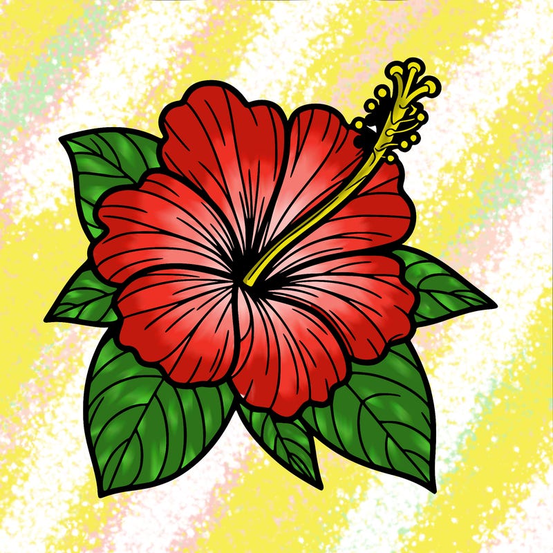 hibiscus flower
