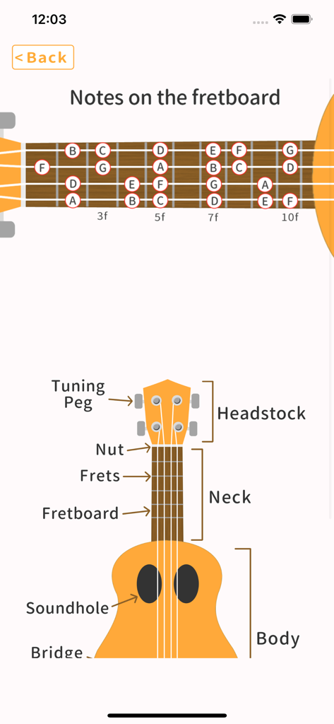 Diagram of ukulele parts and notes on the fretboard