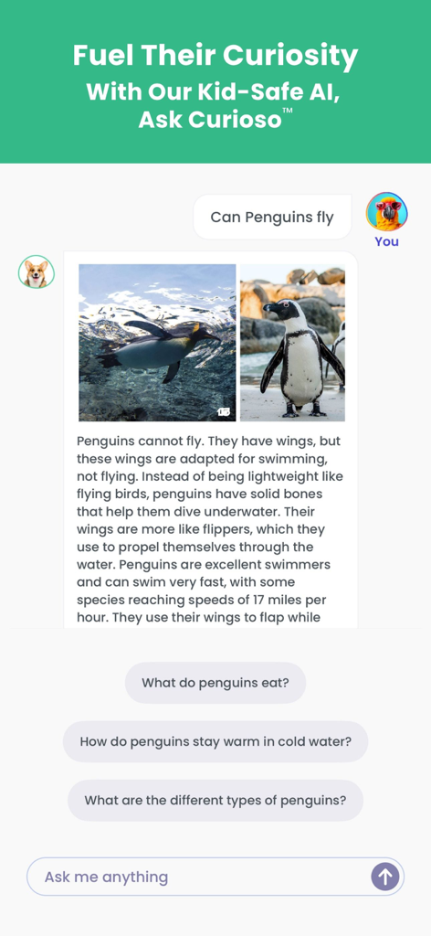 Curioso: Kids' Online Learning - A chat screen from the Curioso app where the kid-safe AI explains why penguins cannot fly with photos and follow-up questions.