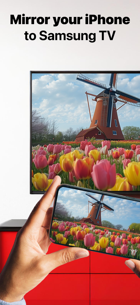 An iPhone screen mirroring a photo of a windmill and tulips onto a large Samsung Smart TV